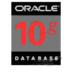 ORACLE 10g for Linux(标准版10user)