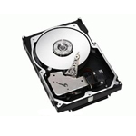 希捷300GB/10K/80针