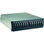 IBM TotalStorage DS300