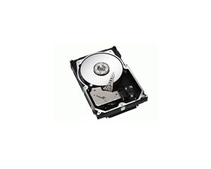 希捷300GB/10K/80针图片