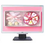 宏碁AL1916W(DVI)