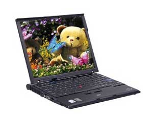 ThinkPad T61p 888972C图片