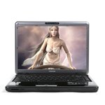 ��֥ Satellite M306(ˮ����)
