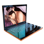 HP Voodoo Envy 133