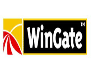 Wingate 6.x 6用户(标准版)图片