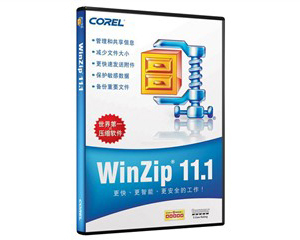 WinZip 11.1 ׼(500-999/)ͼƬ