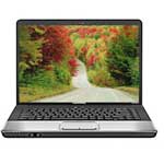 HP Compaq Presario CQ45-202AU(FZ773PA)