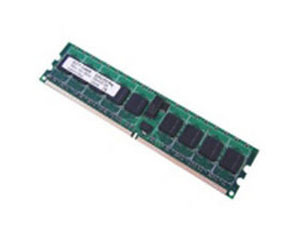 Ӣ1GB DDR2 6400 ECC REG()ͼƬ