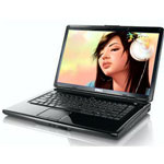 Inspiron 1545-203