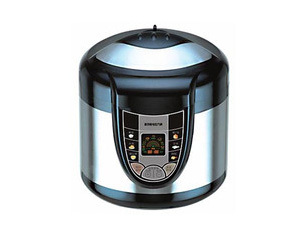 DNG-500