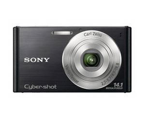 DSC-W320