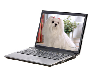 ����R310SG-T450AXͼƬ