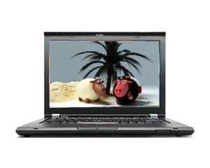 ThinkPad T420 418065C