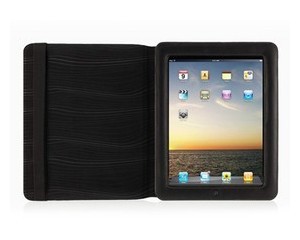 ƻ iPad Ƥ F8N376ttͼƬ