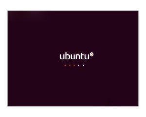 Ubuntu 10.10图片