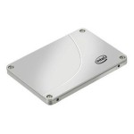 Intel SSD 710(100GB)