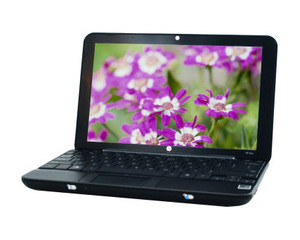  Mini 1000TDͼƬ