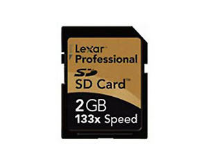 雷克沙 Professional SD（2GB）图片