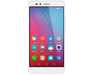 ҫ5X(16GB/ƶ4G)