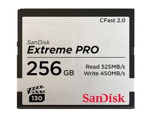 SDCFSP-256G-Z46DͼƬ