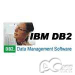 IBM DB2 V8.1 Workgroup Edition Processer 数据库和中间件/IBM