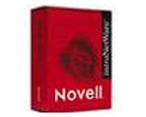 NOVELL Managewise 2.7 250uͼƬ