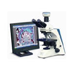 奥特BK—DM320数码生物显微镜 显微镜/奥特
