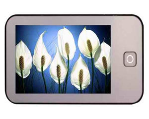 ��ŷN-38(4GB)ͼƬ