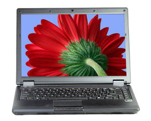 T8800 T660BOUWVH