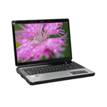  A550-P73D1