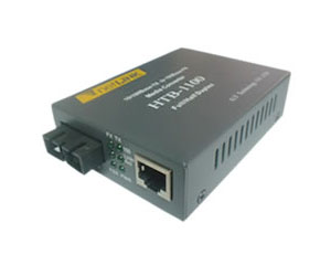 netLINK HTB-1100S-100
