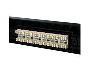 AMP 24�ڽ������߼�1499604-1