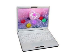 ��֥ Portege M805-02200S