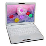 ��֥ Portege M805-02200S