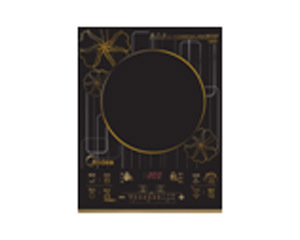 ����ST2101