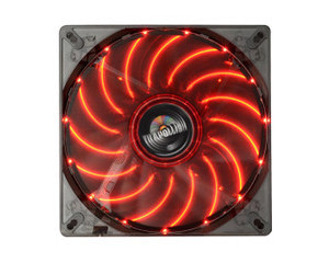 ������ ��������������˹ 14cm