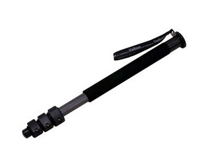 ���� El Pod 64ͼƬ