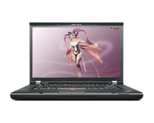 ThinkPad T520i 42414CC