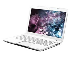 ��֥ M800-T01W(ѩ����)
