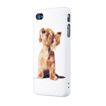 ����iPhone4/4s������ �������� ƻ�����/����