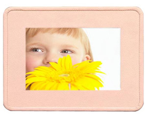 �г�����DPF1021