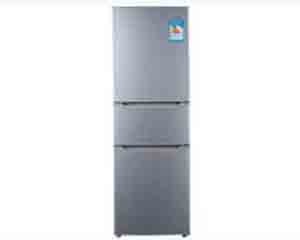 ������BCD-220TS