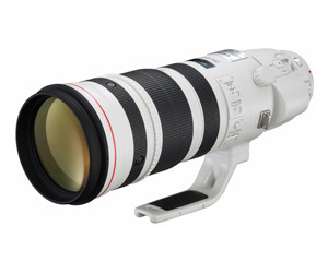 EF 200-400mm f/4L IS USM EXTENDER 1.4XͼƬ