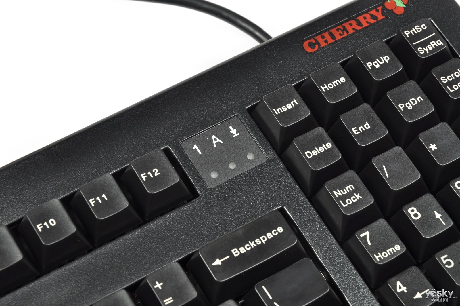 cherry g80-1865lxneu-2 (黑色茶轴1865)