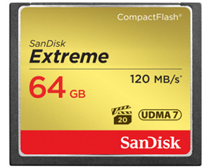 CompactFlash洢(64GB)/SDCFXS-064GͼƬ