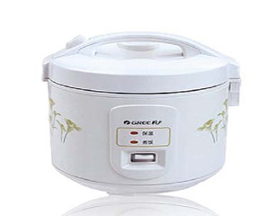 ���� GD-3021