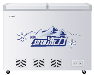 统帅BC/BD-220TS