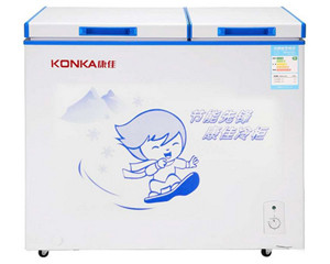 ����BCD-206DZP