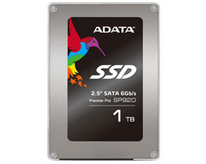 SP920(1TB)