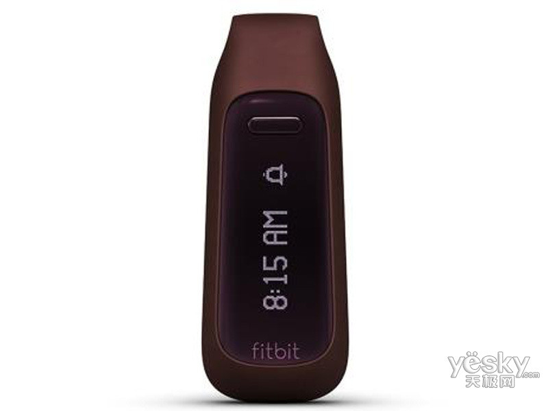 Fitbit one FB103